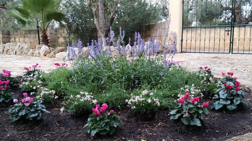 Agriturismo Tenuta La Siesta Галиполи Екстериор снимка