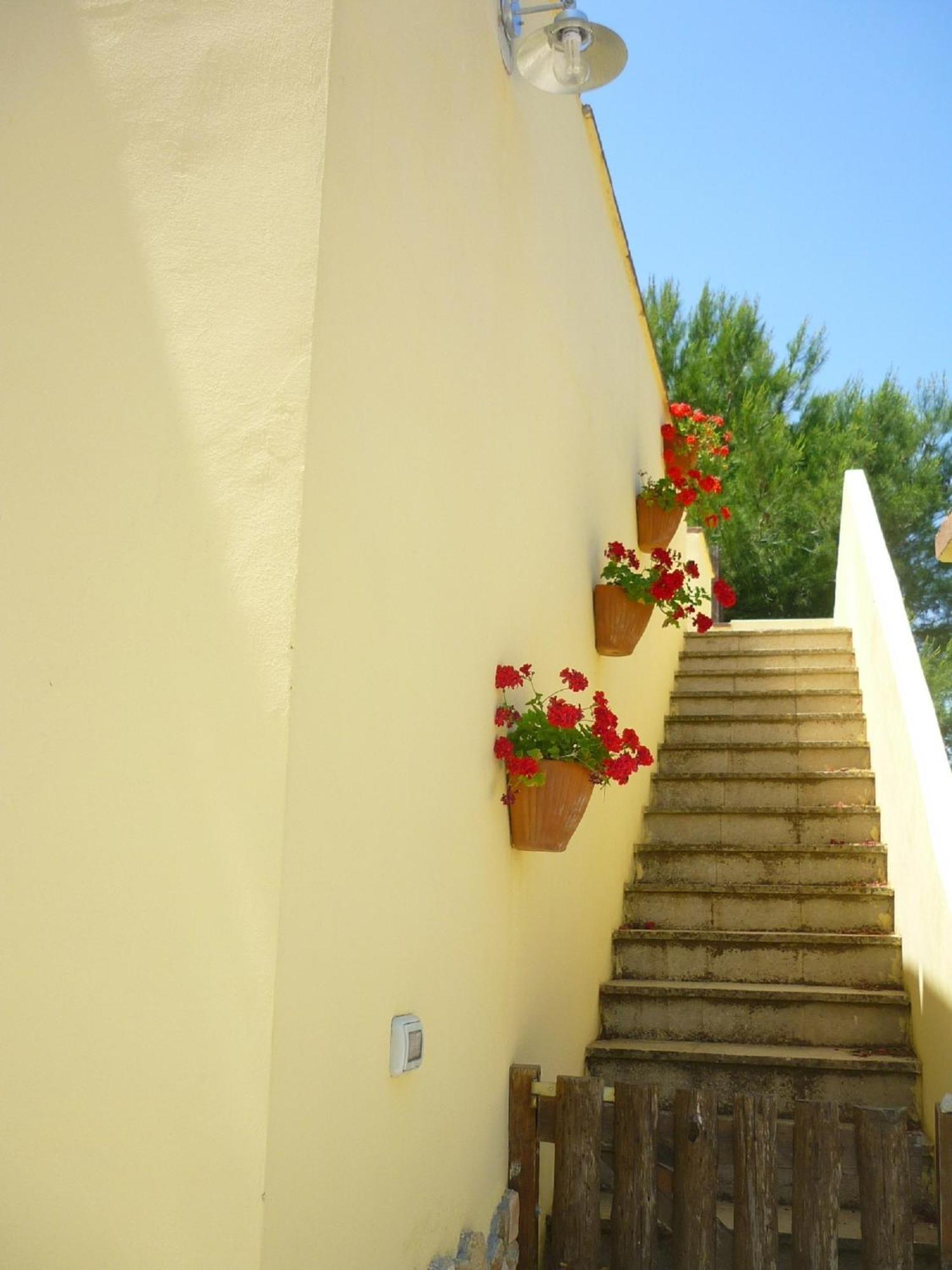 Agriturismo Tenuta La Siesta Галиполи Екстериор снимка