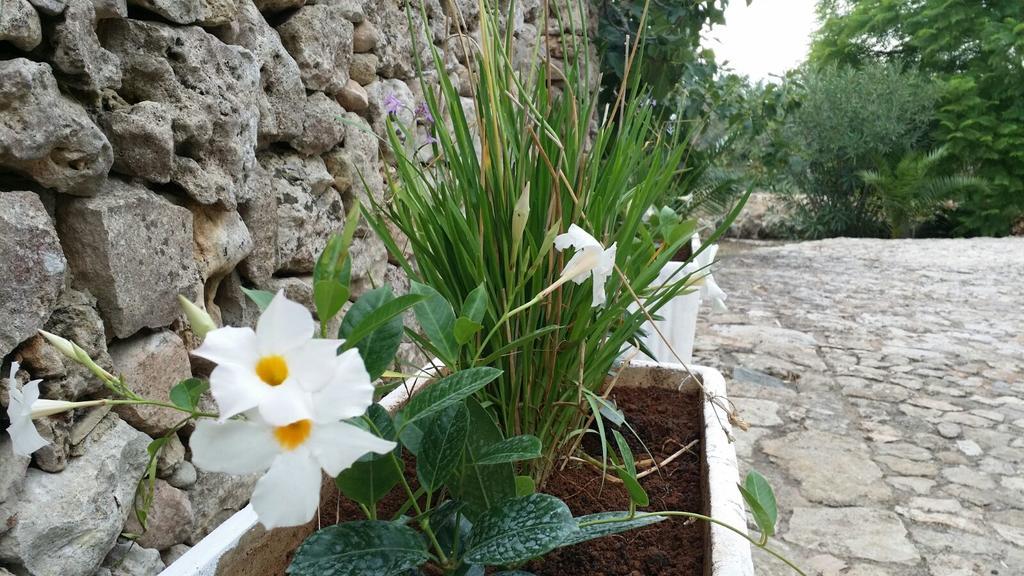 Agriturismo Tenuta La Siesta Галиполи Екстериор снимка