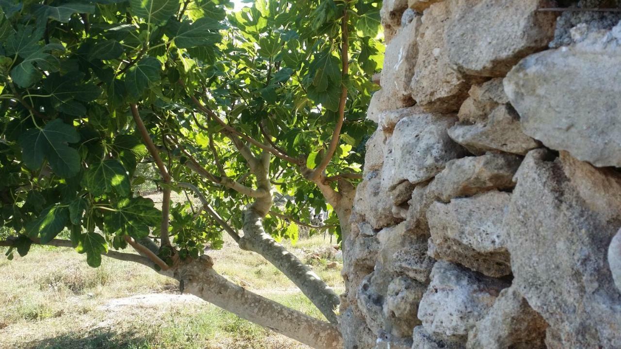 Agriturismo Tenuta La Siesta Галиполи Екстериор снимка