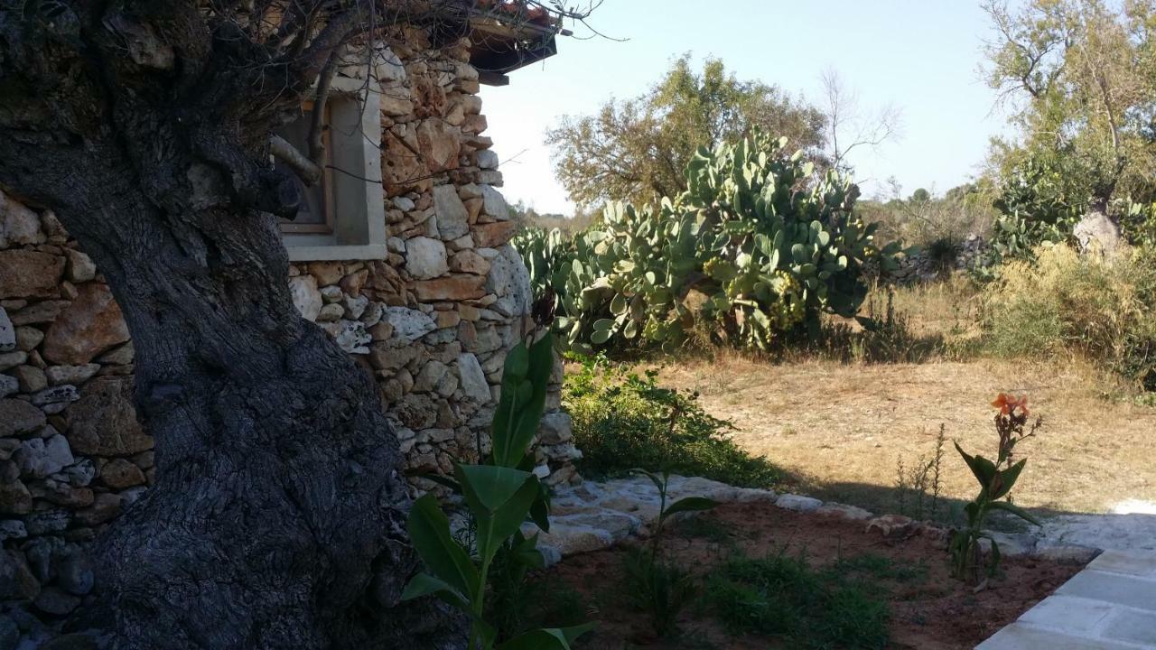 Agriturismo Tenuta La Siesta Галиполи Екстериор снимка